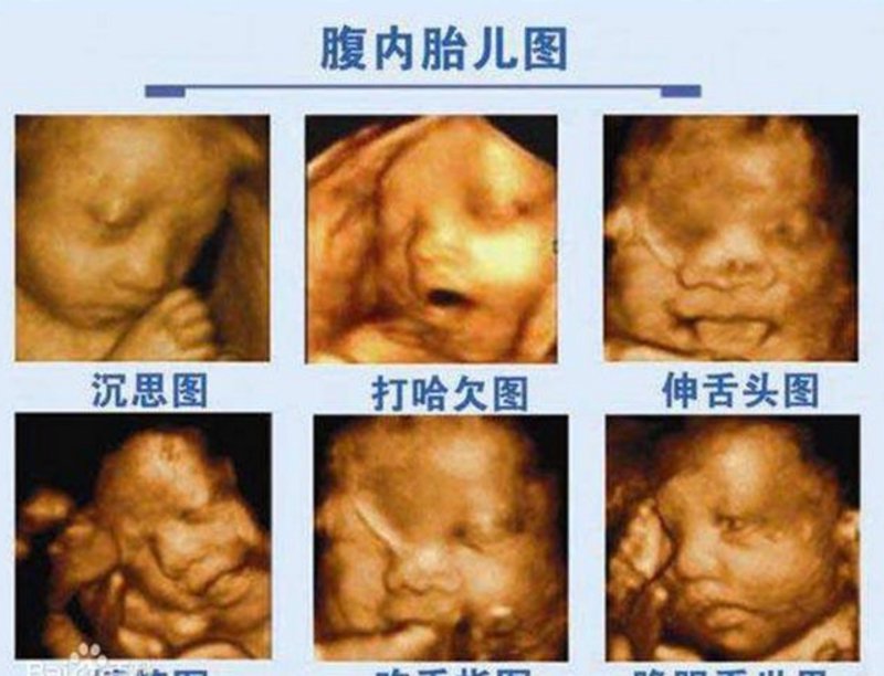 上海妇科医院：汇聚女性健康守护神